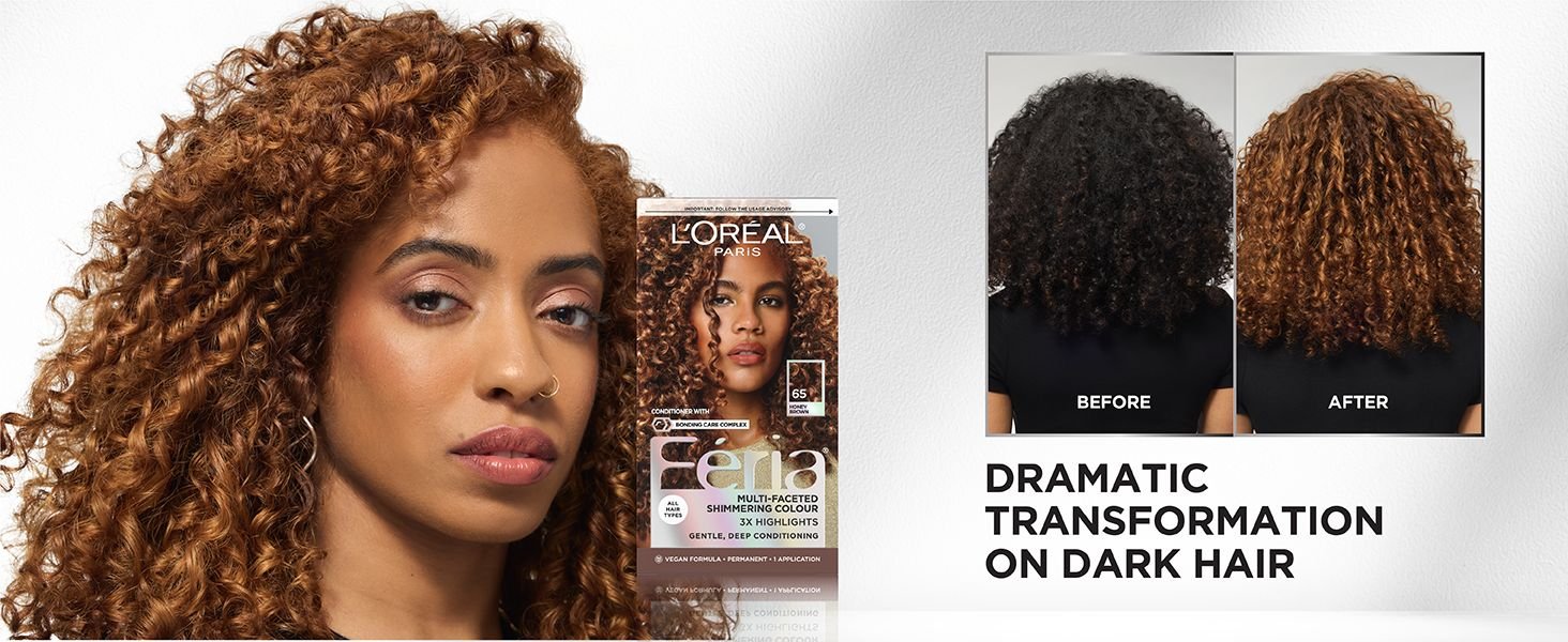 LOreal Haircolor Feria Shimmering NavCarD 2 2A